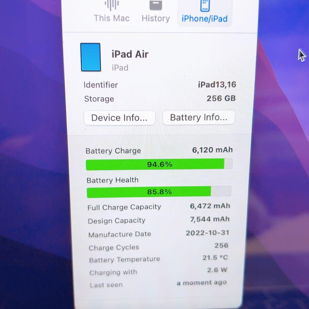 即日発送iPad AIR5 WiFi 256GBとアップルペンシル2のセット