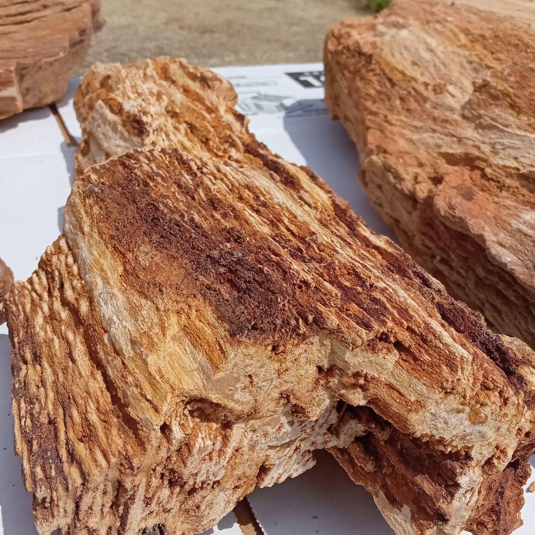 木化石01　約18ｋｇ　アクアリウム 　水槽　レイアウト　石