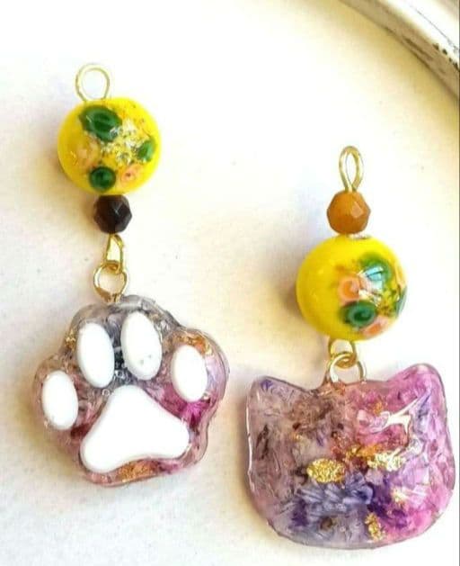 acorn様°・*:.。.☆