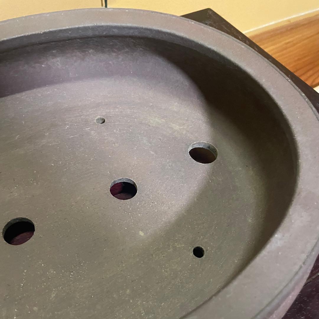 【落款あり】松泉焼 山秋造 楕円袋式雲足 紫泥 盆栽鉢 真柏 時代鉢