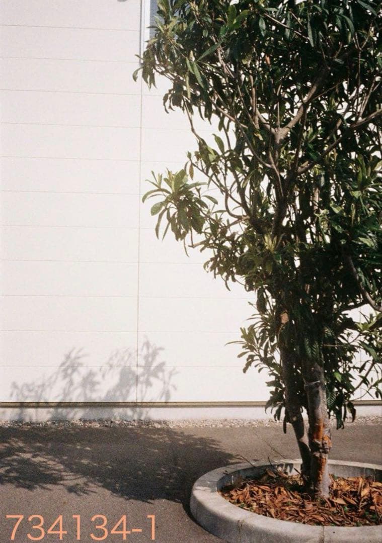 Ricon AUTO HALF フィルムカメラ