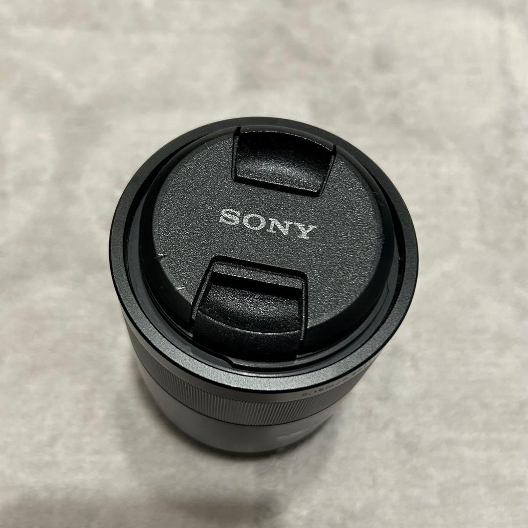 ドルフィン SONY Eマウント Sonnar T* 24mm F1.8