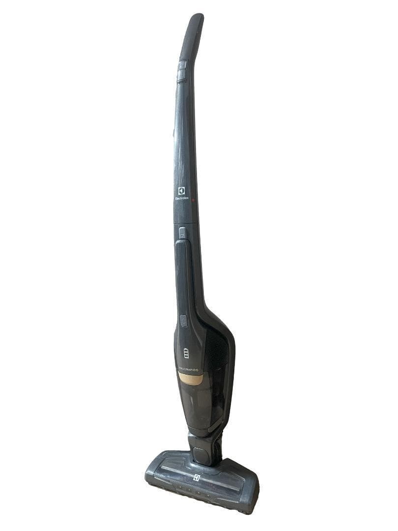 Electrolux エレクトロラックス クリーナー 掃除機 ZB3502IG