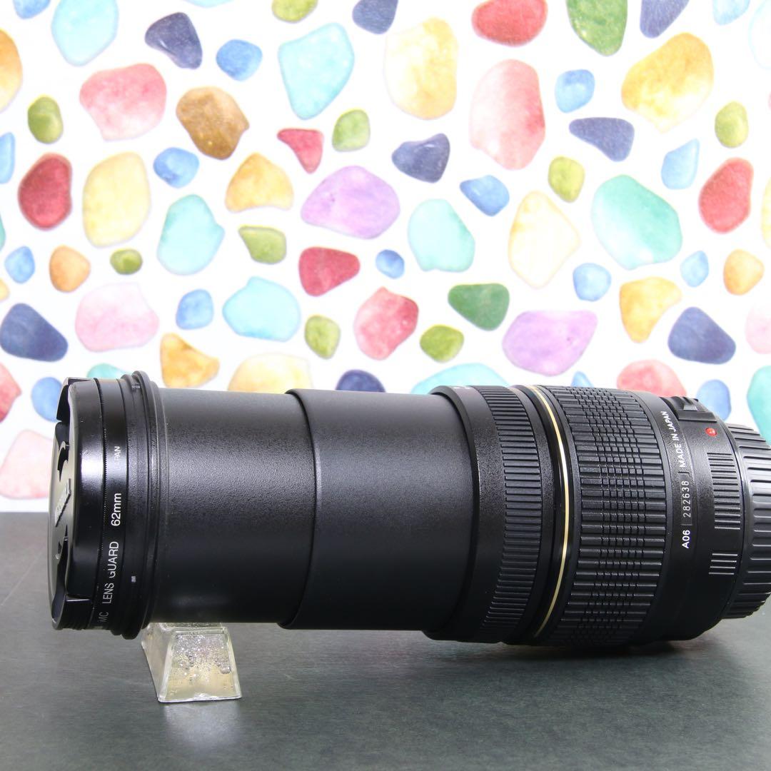 ♥︎◇神レンズ♪ 近くも遠くもOK♪ ◇TAMRON 28-300mm 美品