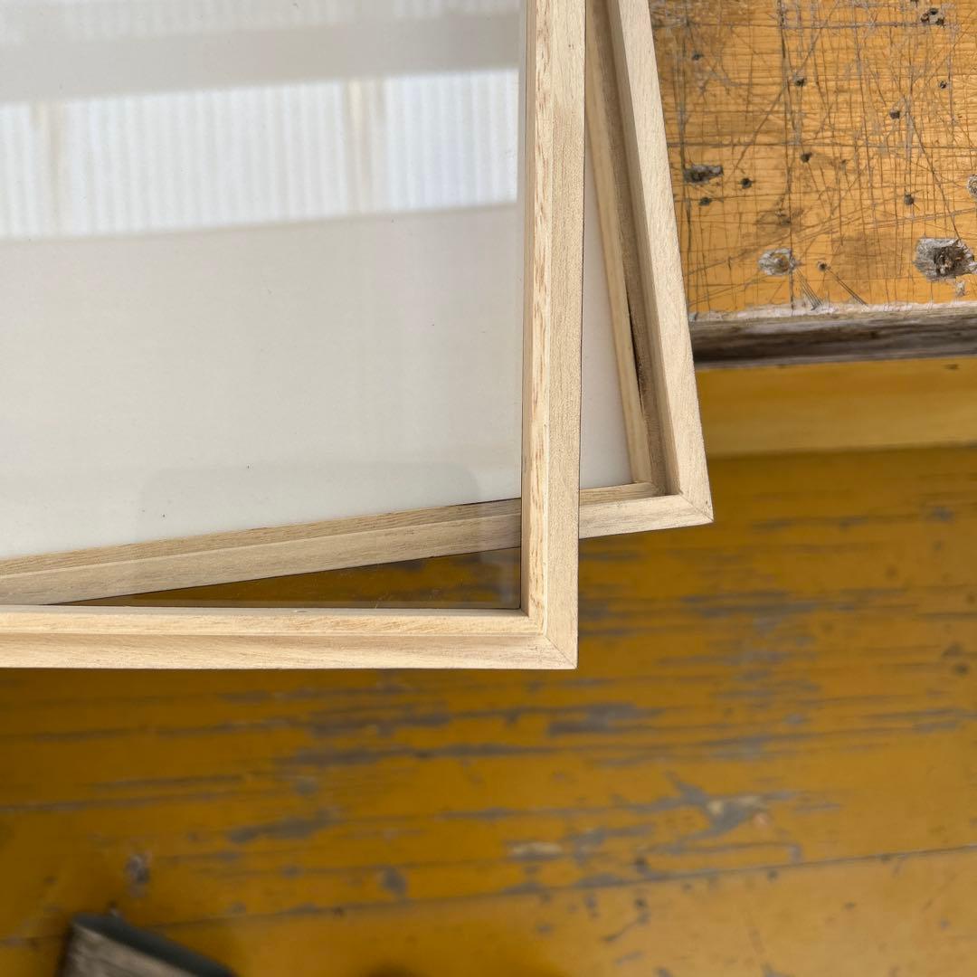 大型標本箱台　大型標本箱　1箱