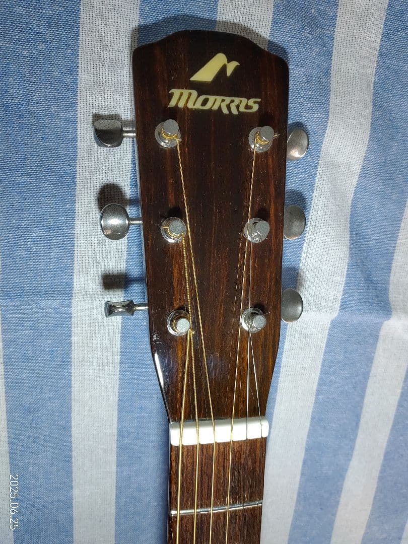 Morrisの12フレットジョイントのNYスタイルギターMY-601tsです。