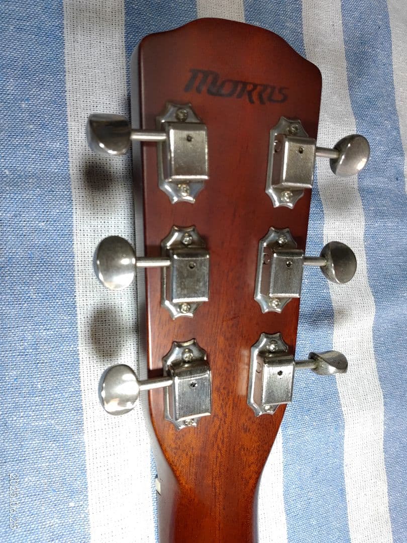 Morrisの12フレットジョイントのNYスタイルギターMY-601tsです。