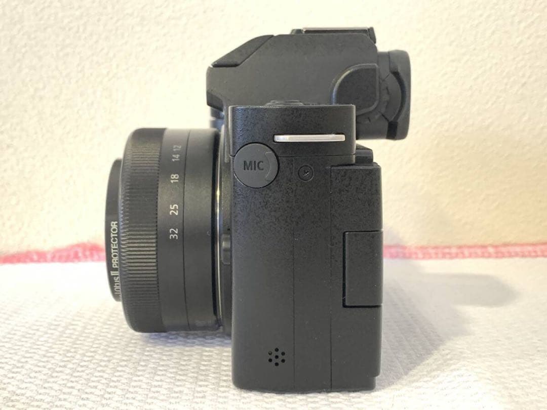 み  Panasonic LUMIX DC-G100D ミラーレス一眼