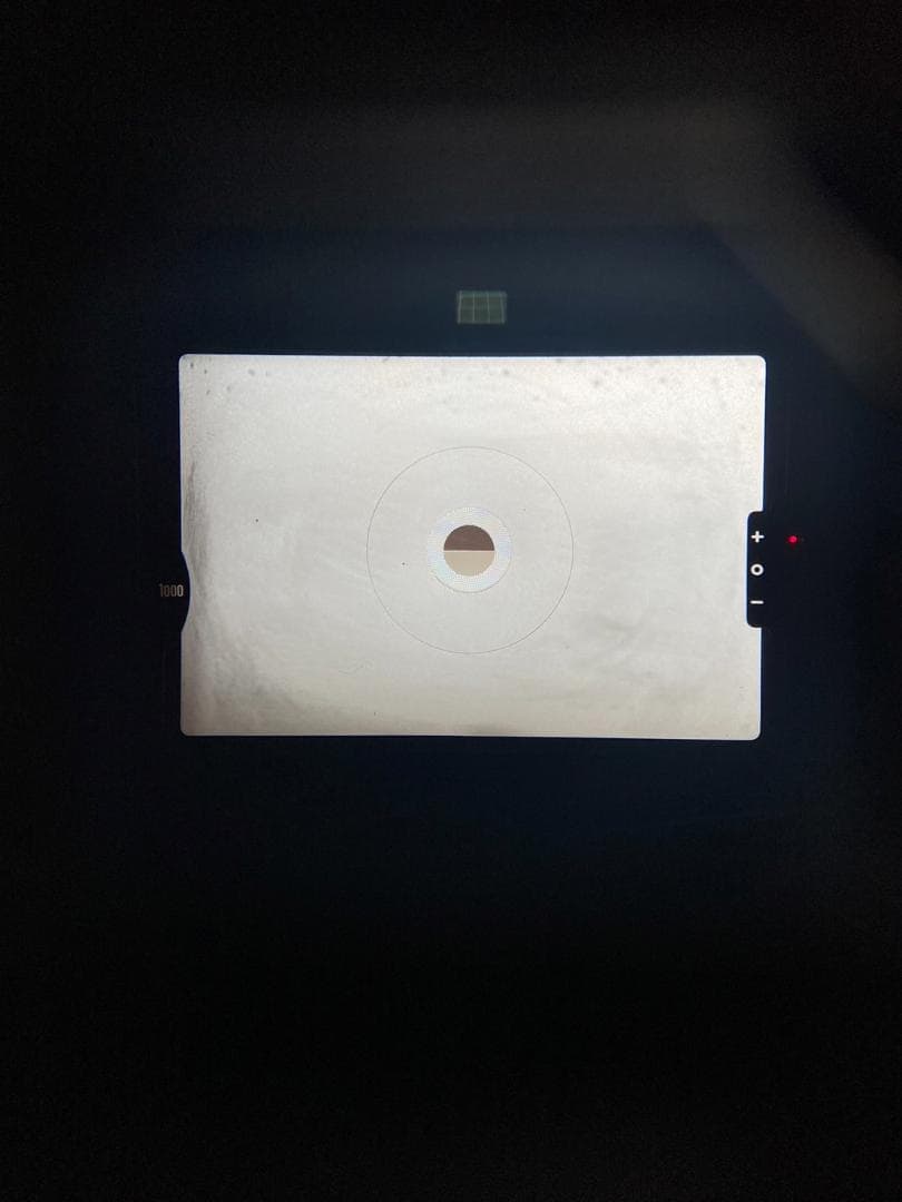 超美品 NIKON ニコン FM シルバー モルト新品交換済 M646