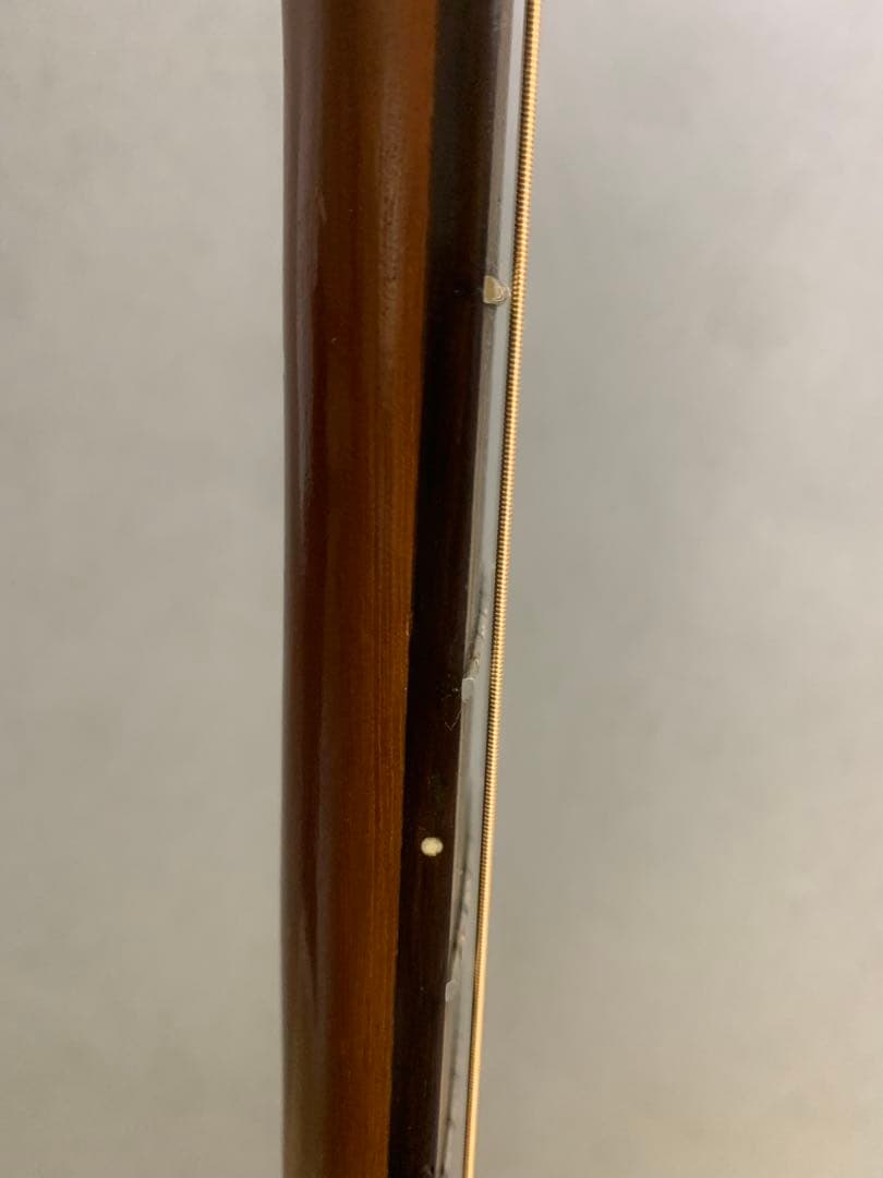 ARIA FET-F1 N エレアコ