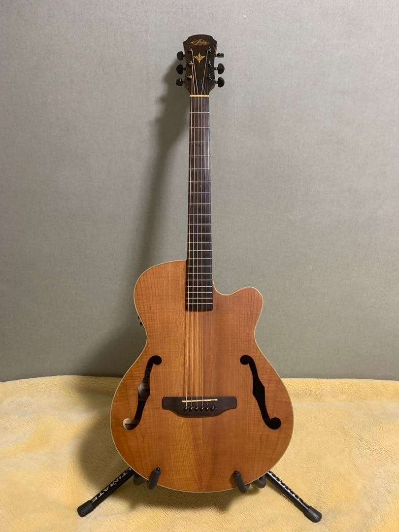 ARIA FET-F1 N エレアコ