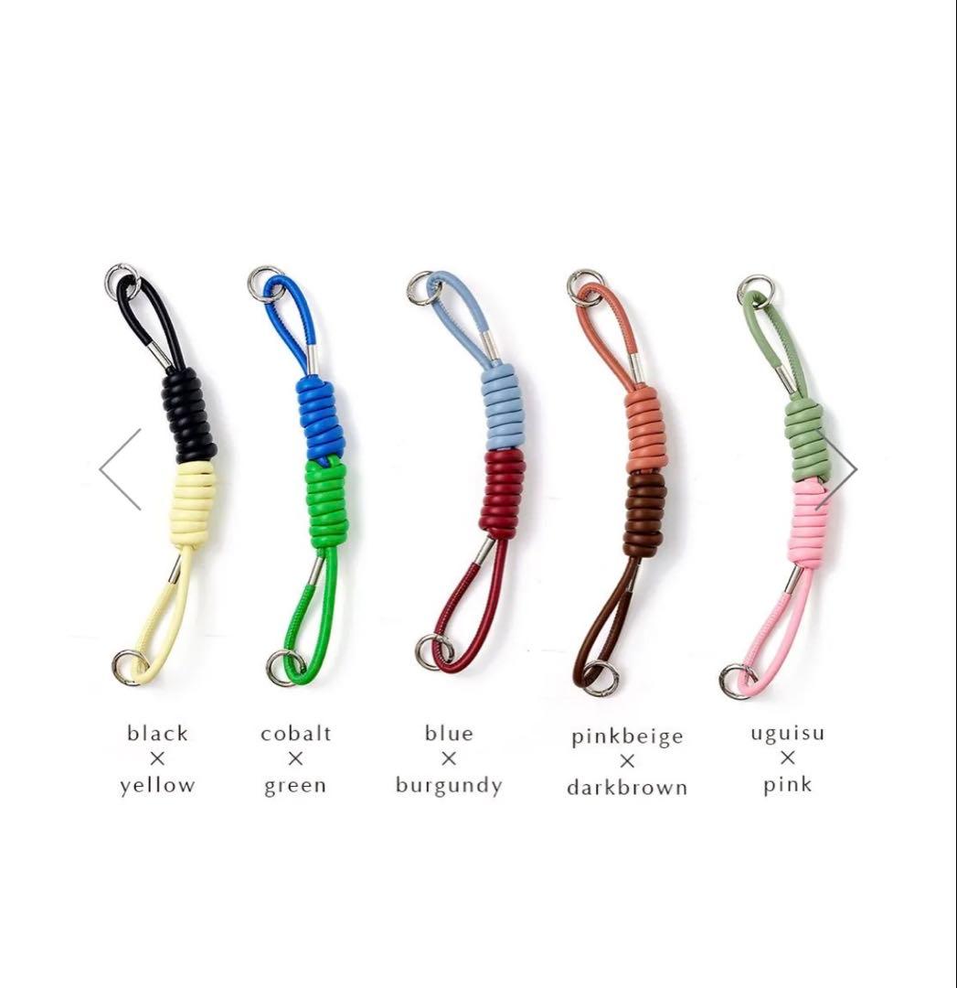 【新品未使用・送料込】ajew iPhone15 Pro ケース＋ストラップ