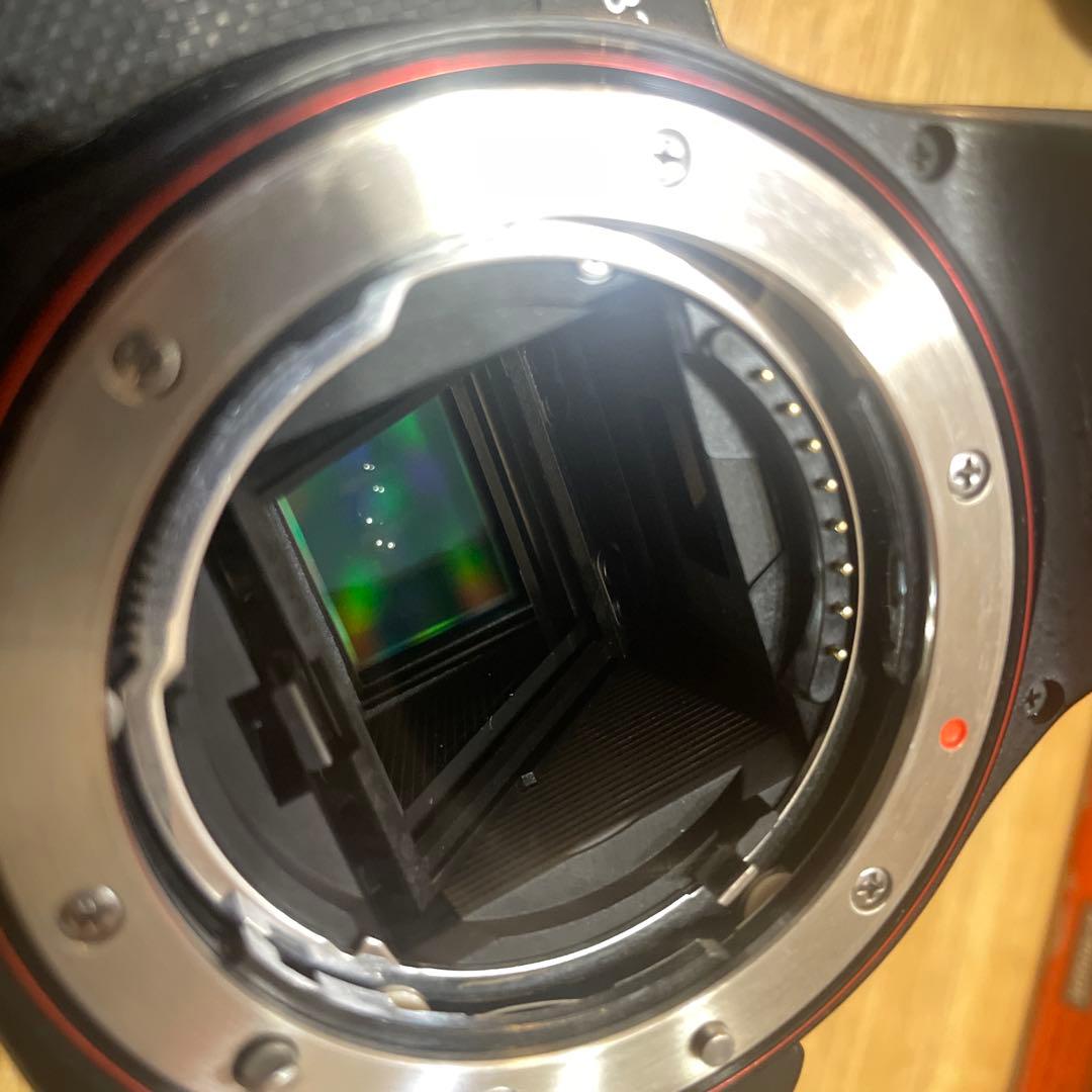 SONY α33 ズームレンズキット+ 55-200 SLT-A33 一眼カメラ