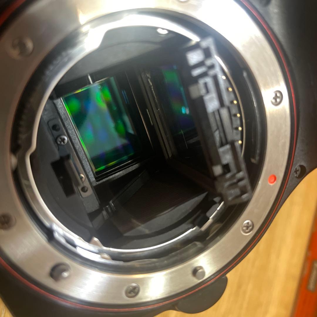 SONY α33 ズームレンズキット+ 55-200 SLT-A33 一眼カメラ