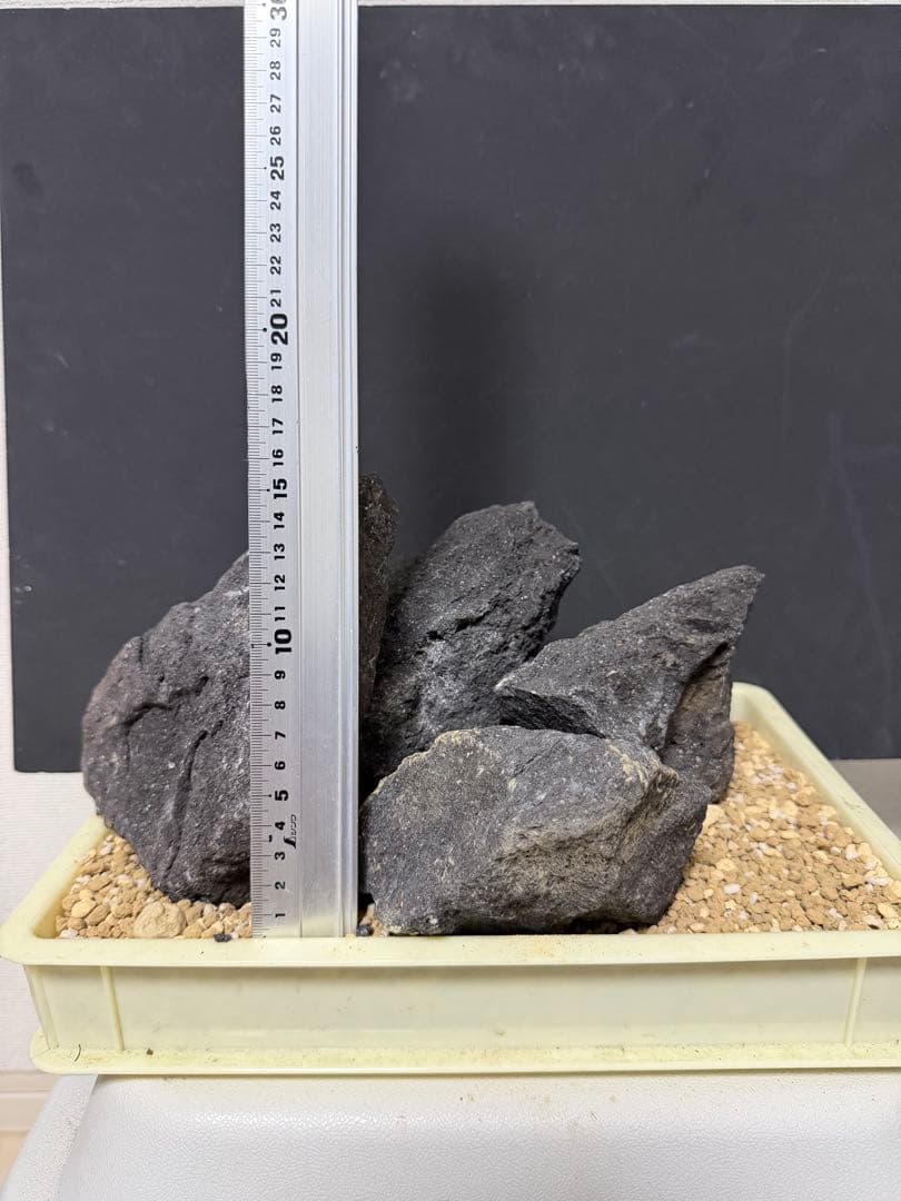 ⑧ADA山水石 組合せ！オススメ！