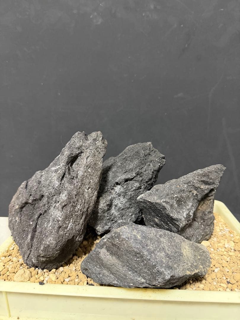 ⑧ADA山水石 組合せ！オススメ！