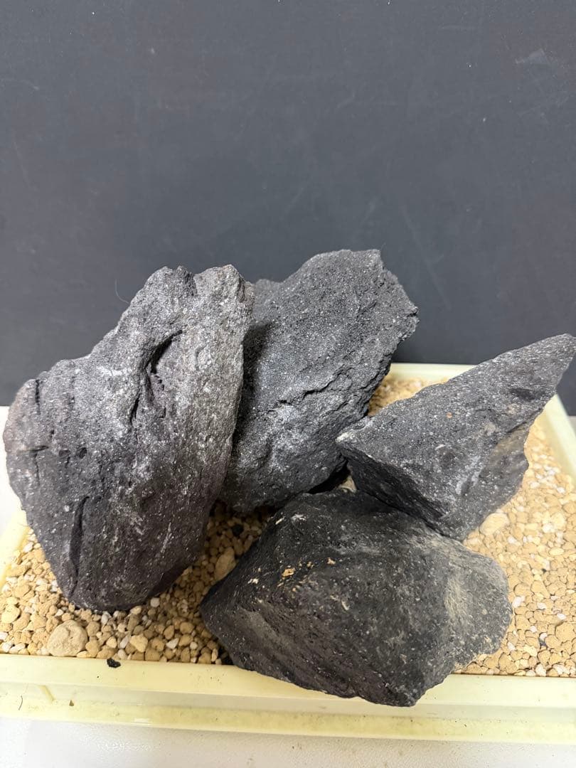 ⑧ADA山水石 組合せ！オススメ！