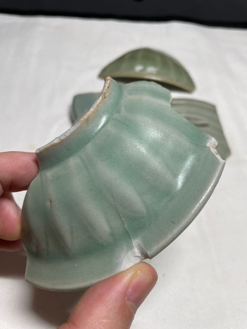 青磁。龍泉青磁。標本。骨董品。殘片4本。陶片（古美術）。宋時代