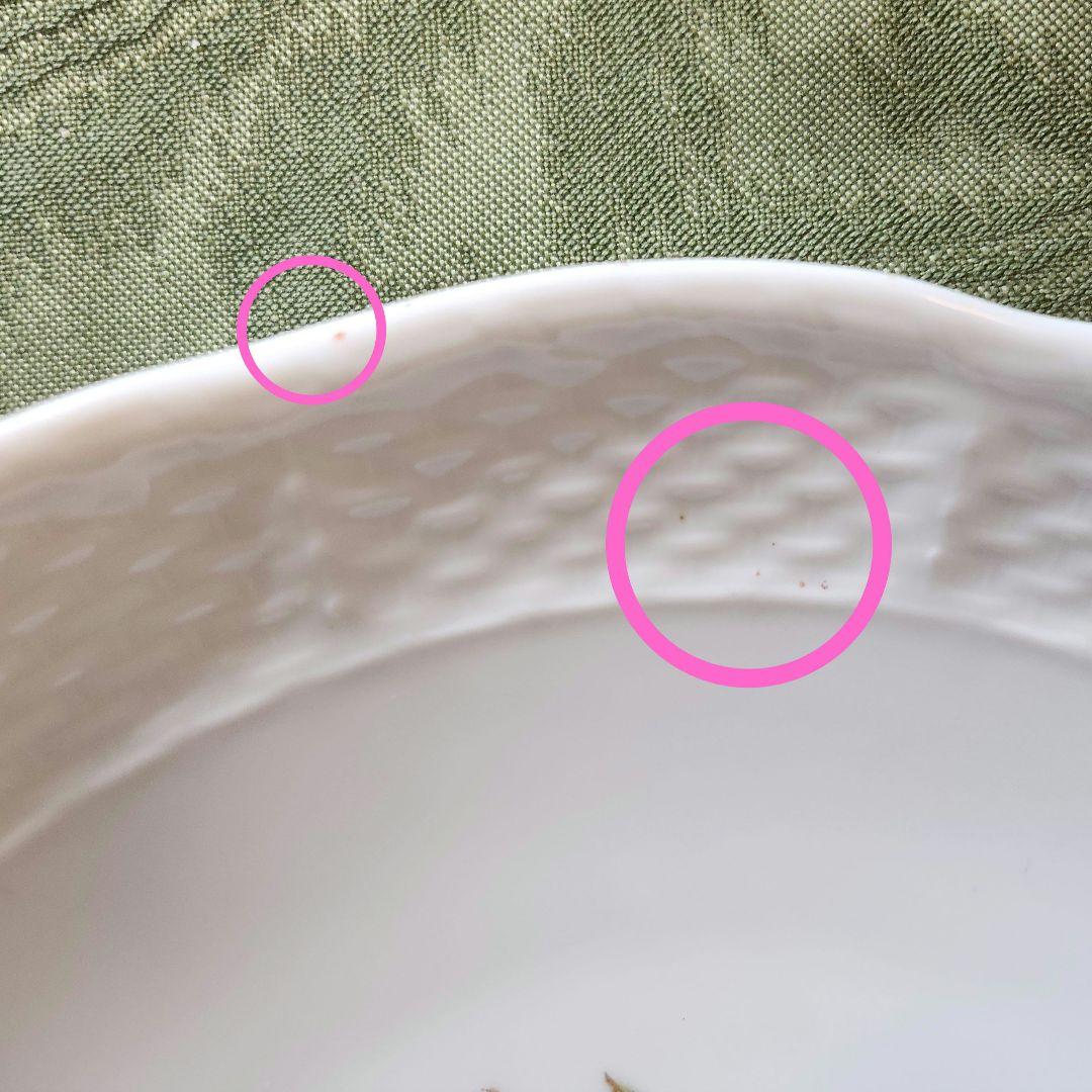 ジノリ サックスフラワー 12枚 丸皿 大皿 セット 27cm 19cm