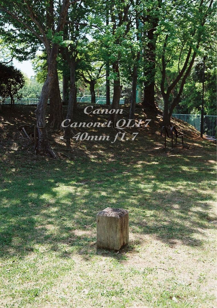 ★完動品＊美品＊初期保証★canon canonet ql17 ★作例多数！