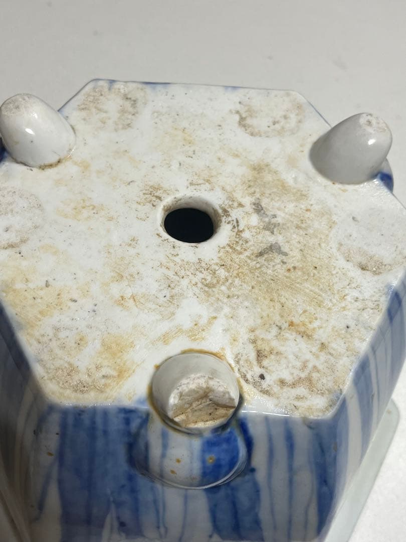 蘭鉢　盆栽鉢　植木鉢　陶芸　園芸　盆栽