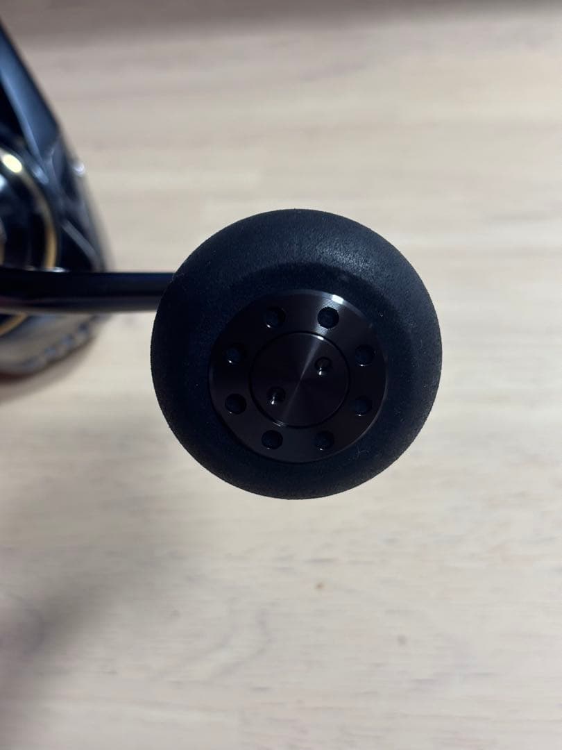 ダイワ CALDIA カルディア SW 10000 P