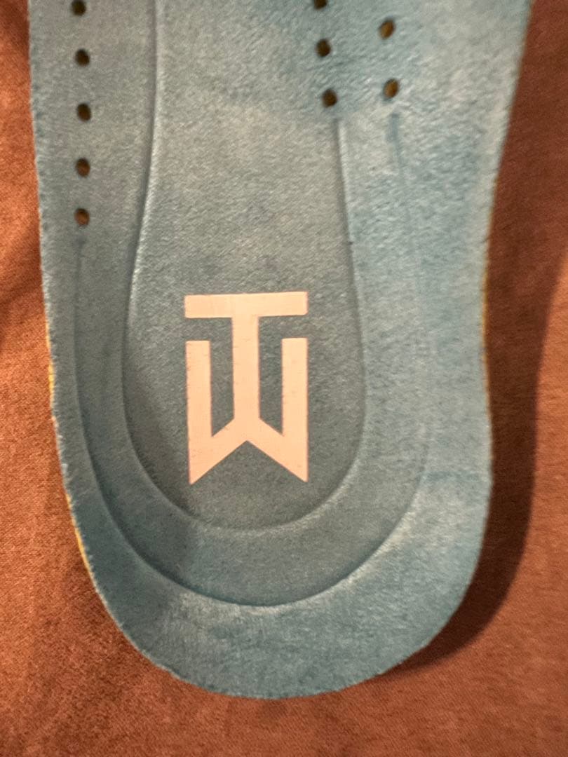 NIKE ナイキ ゴルフシューズTW'13 29cm