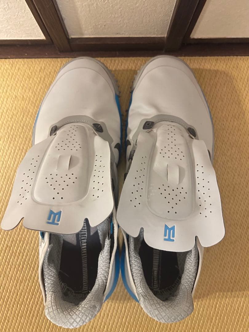 NIKE ナイキ ゴルフシューズTW'13 29cm