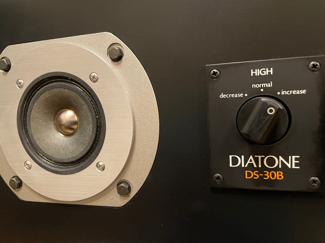DIATONE DS-30B 30センチスピーカー　YouTube視聴可能