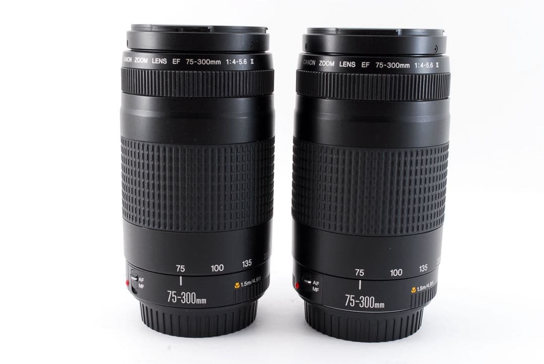 2SET レンズフード付 キヤノン  Canon EF 75-300mm II