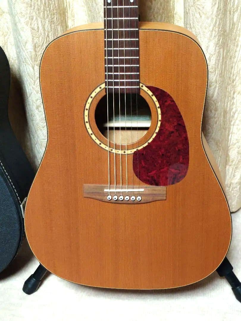 トップ単板　サイモン＆パトリック luthier s&p 6 cedar