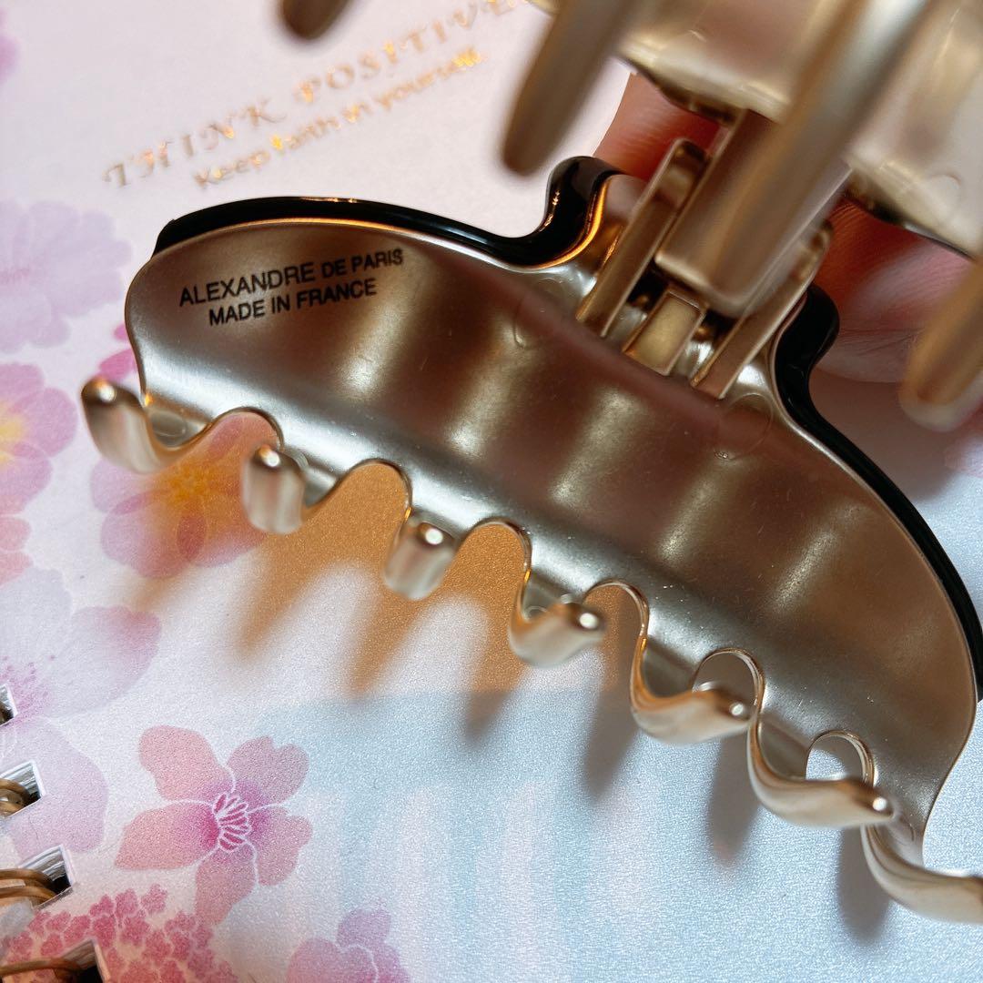 ALEXANDRE DE PARIS VENDOME M クリップ