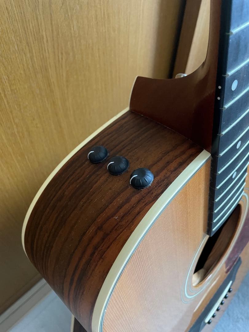 Taylor 210ce ソフトハードケース・新品弦付き