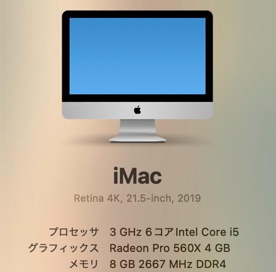 【Apple iMac 2019 21.5インチ】引越し処分 1TB