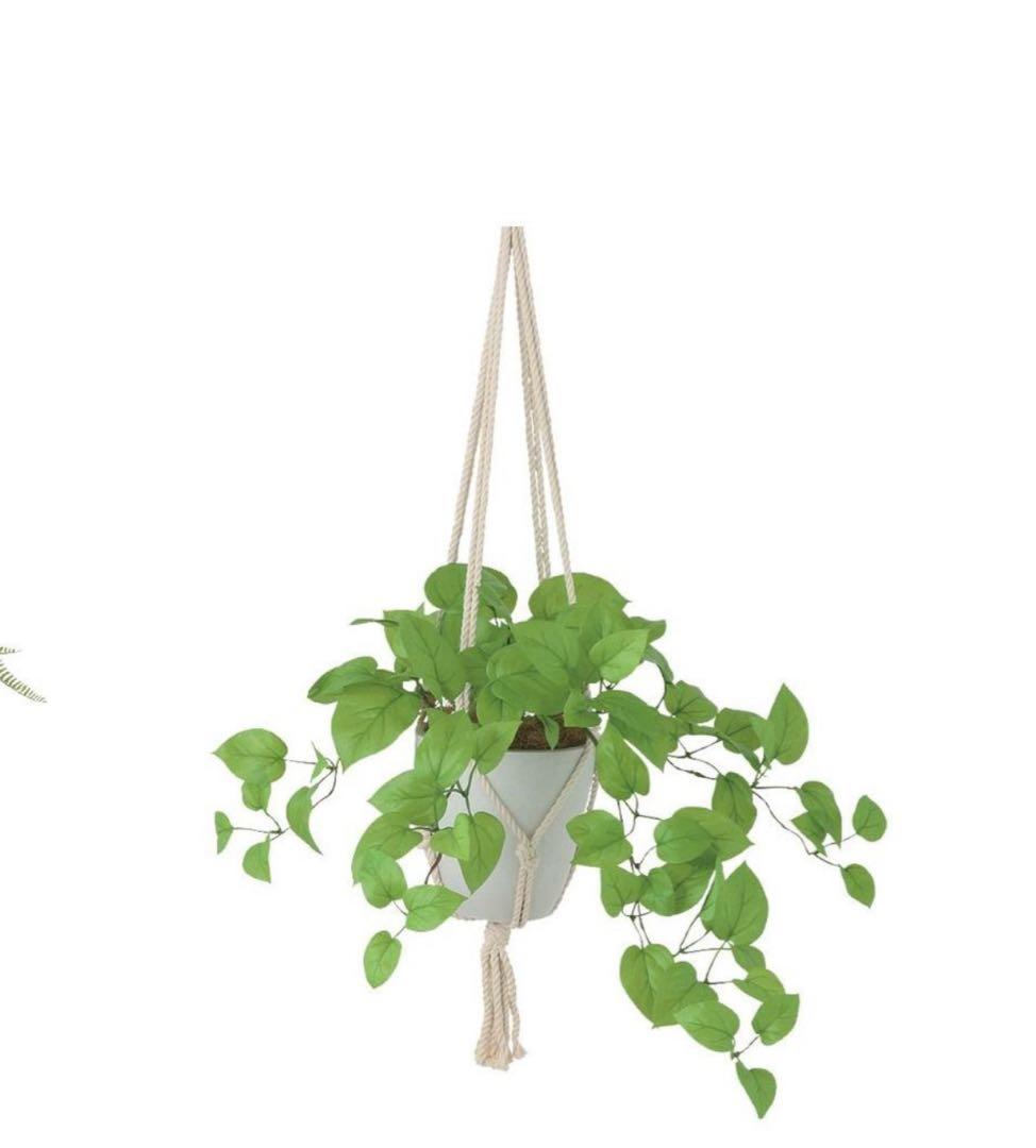 光触媒　人工観葉植物　ウォールグリーン　フェイクグリーン　壁掛けライムポトス