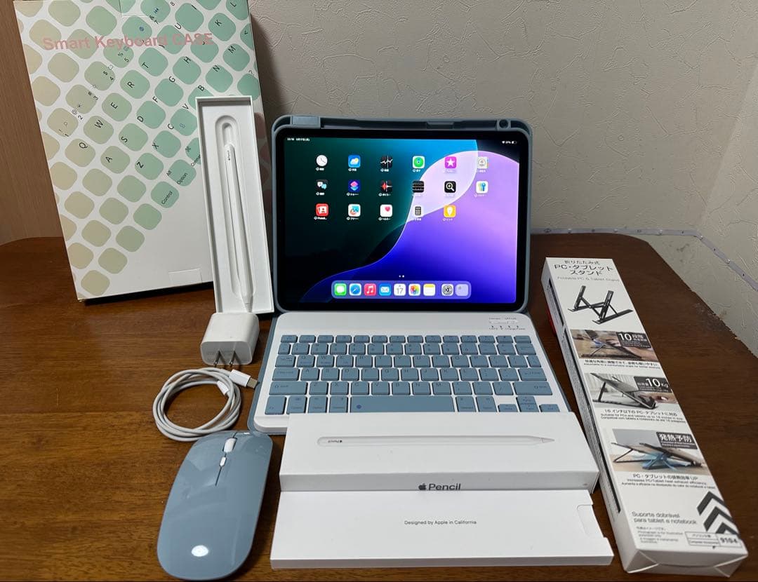 【極美品】 ipad pro 11インチ 第2世代 256GB SIM フリー