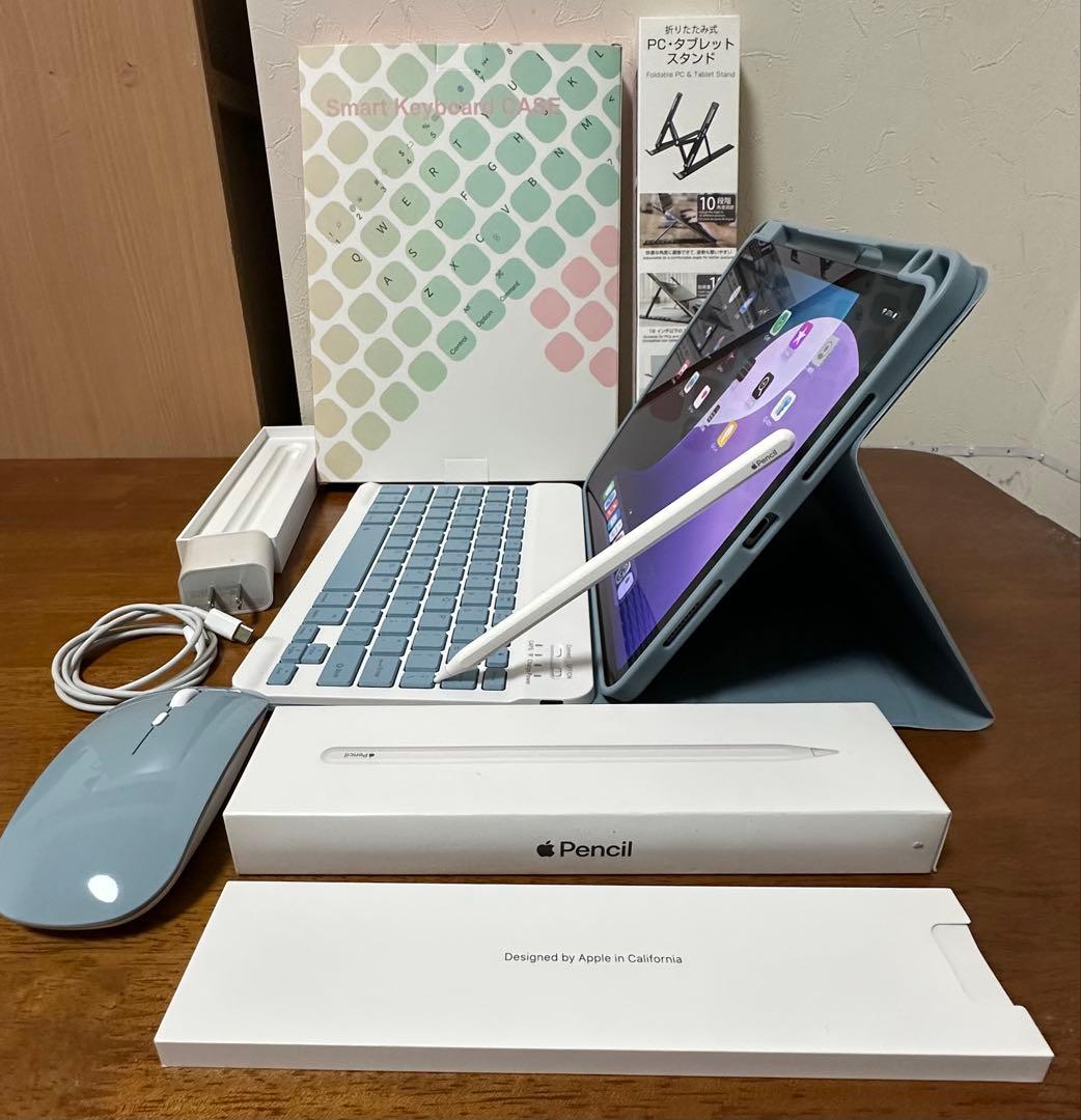 【極美品】 ipad pro 11インチ 第2世代 256GB SIM フリー