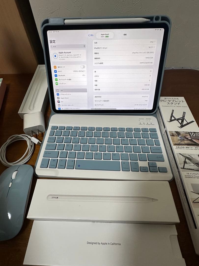 【極美品】 ipad pro 11インチ 第2世代 256GB SIM フリー