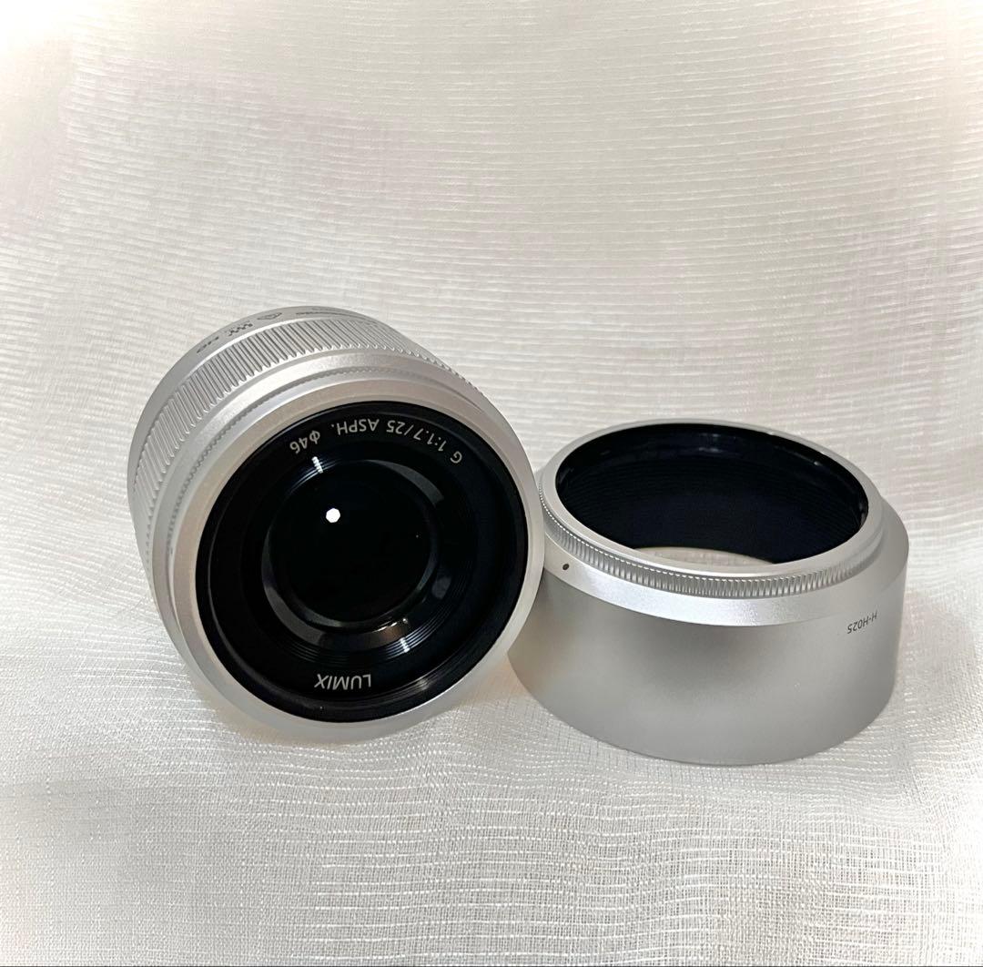 【 美品】パナソニック DC-GF9W デジカメ・Ｗレンズ