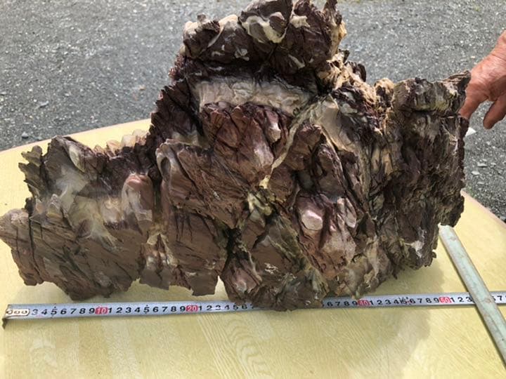 鎧石 赤石 鑑賞石