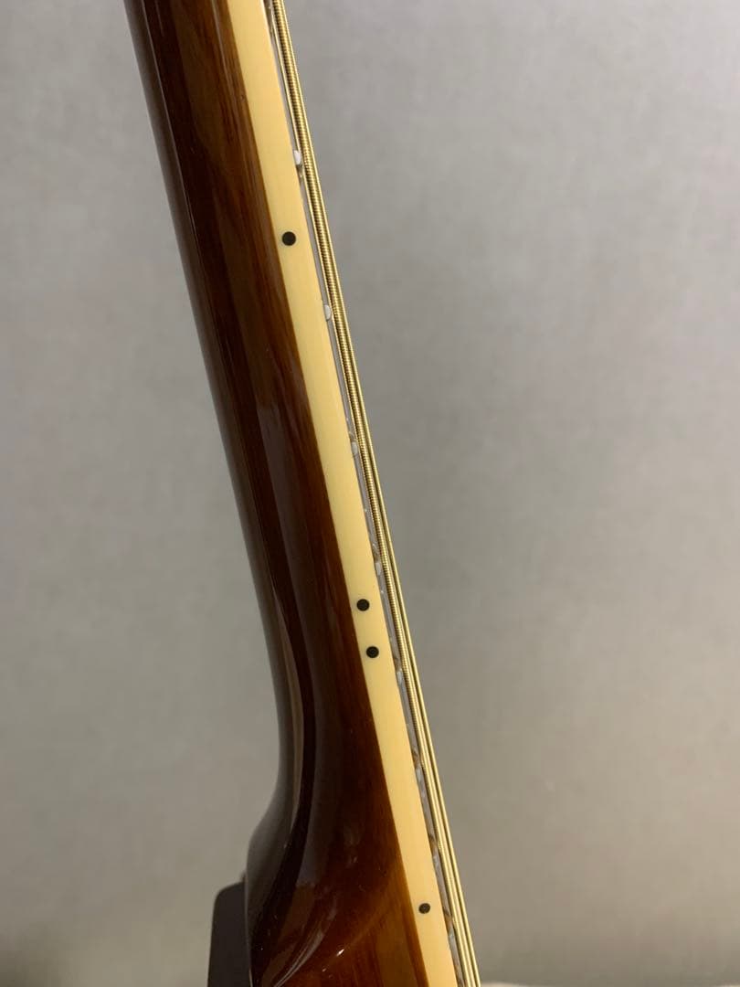 LTD (ESP) TL-6 ソリッドエレアコ