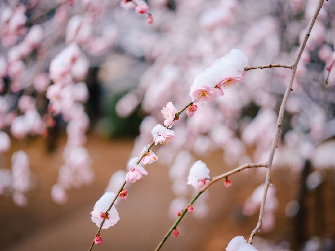 FUJIFILM GF63mm F2.8R WR フジノンレンズ