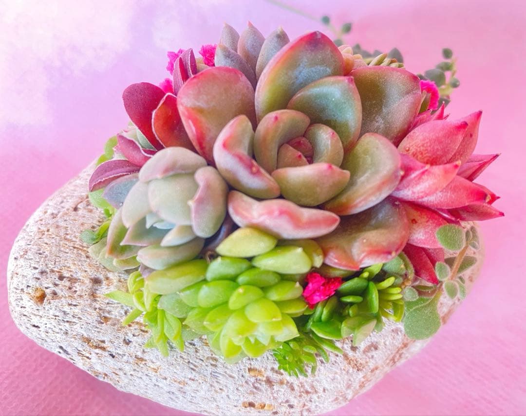 軽石寄せ植え✿そのまま飾れます