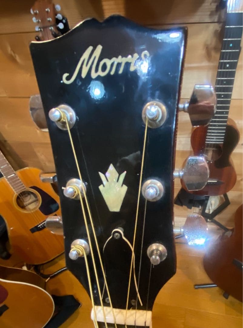 専用！morris モーリスWD25 DOVE モデルクリーニング済ケース無し