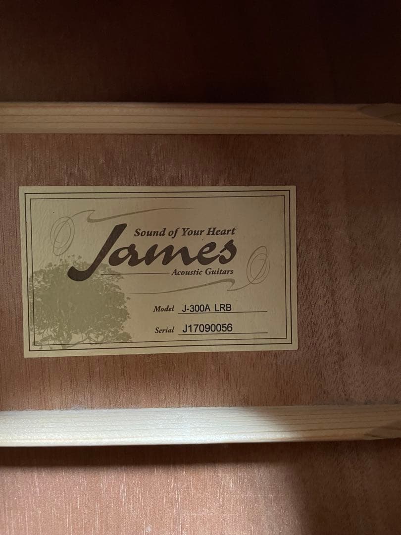 James アコースティックギター