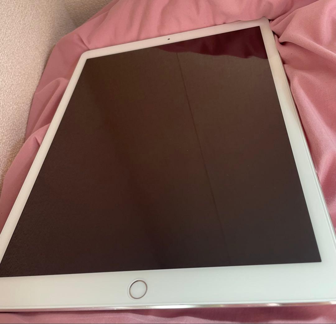 iPad Pro (第2世代) 12.9インチ 256GB