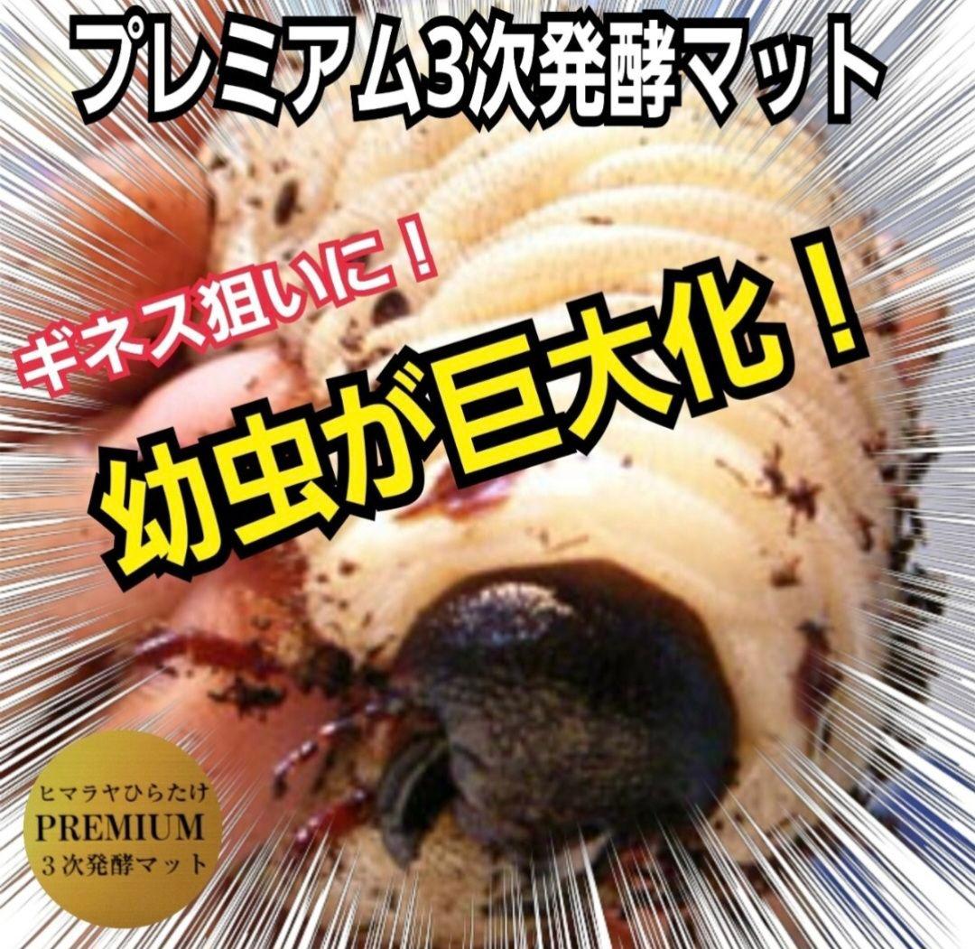 【２セット】カブトムシ幼虫を入れるだけ！プレミアム発酵マット入り㍑ボックス