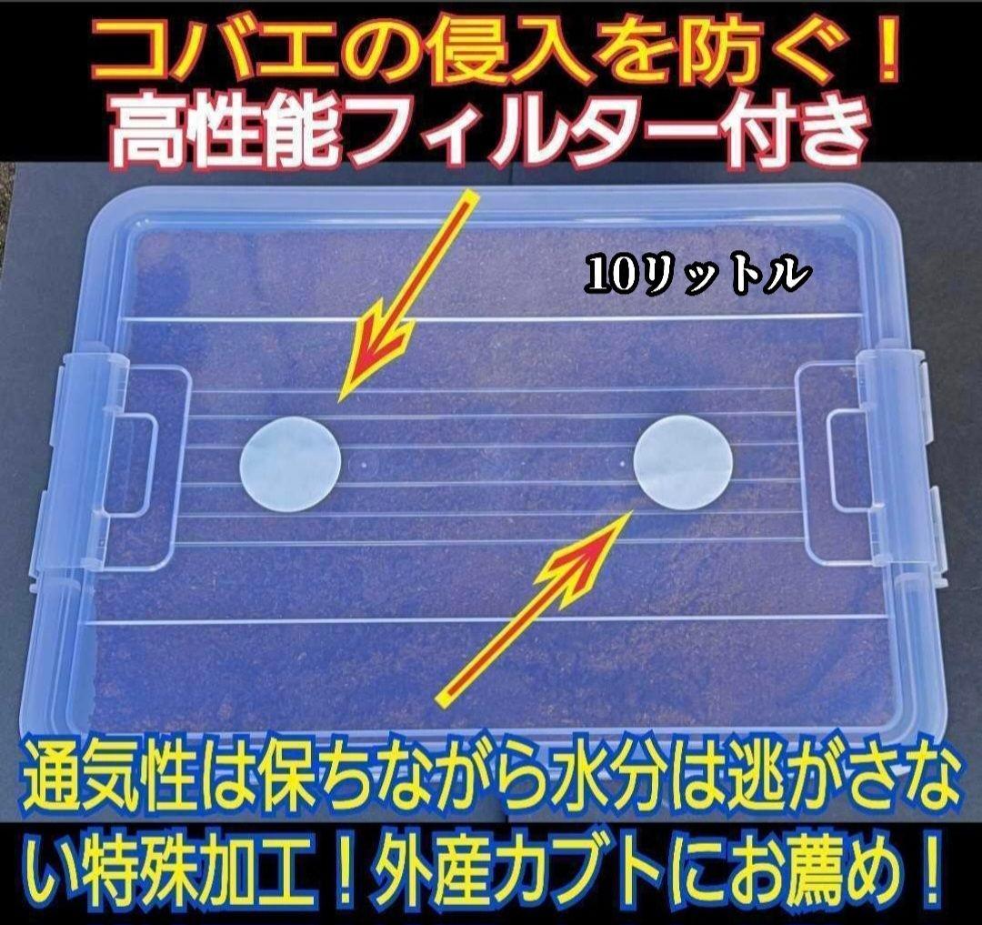 【２セット】カブトムシ幼虫を入れるだけ！プレミアム発酵マット入り㍑ボックス