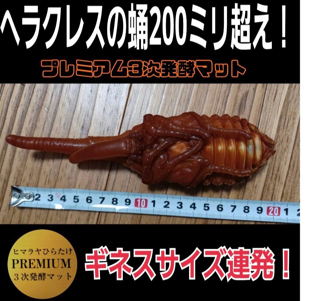 【２セット】カブトムシ幼虫を入れるだけ！プレミアム発酵マット入り㍑ボックス