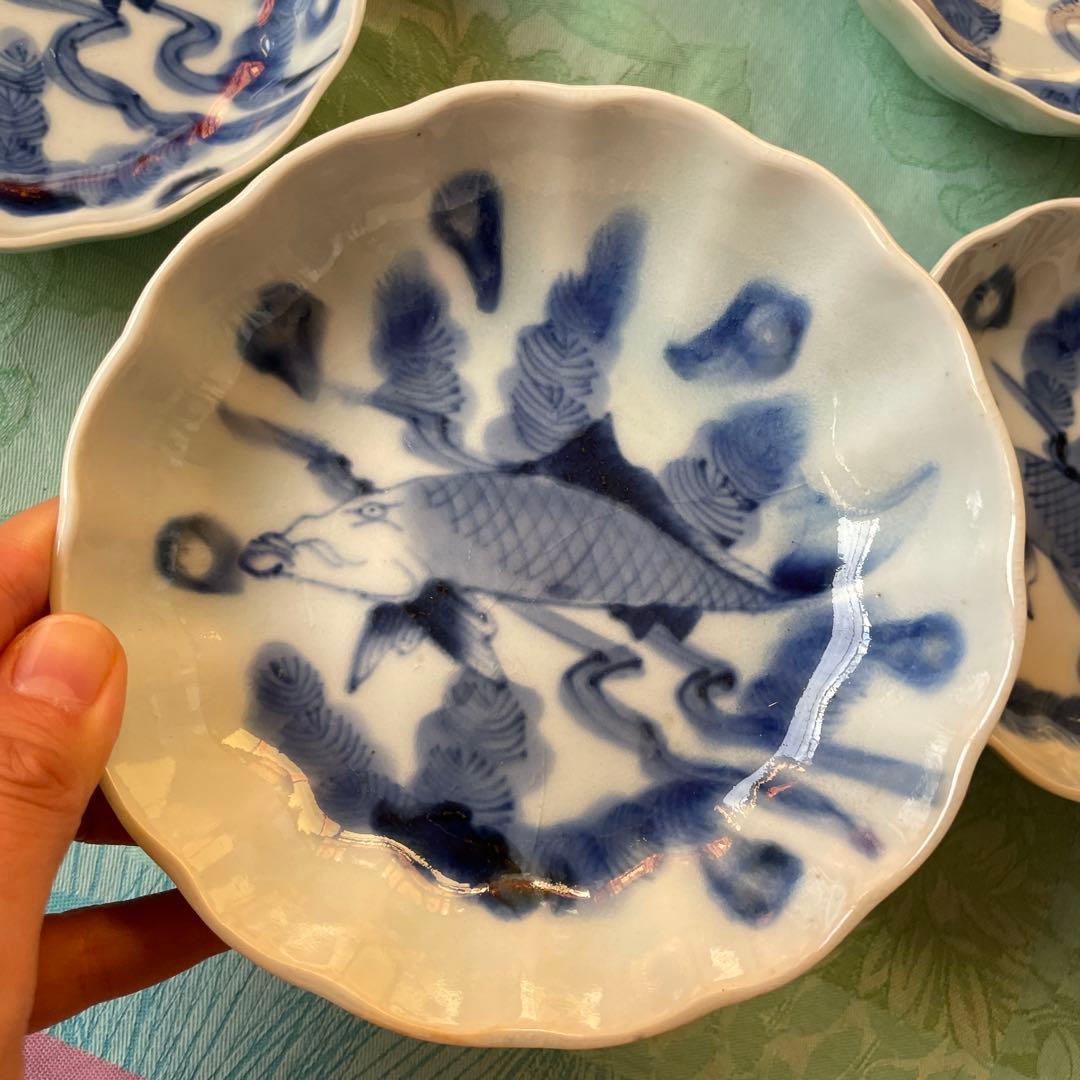 古伊万里　染付　魚　膾皿　5客